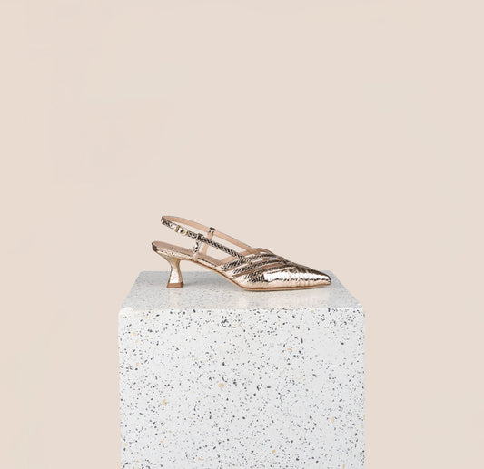 Novara - Gold Snake